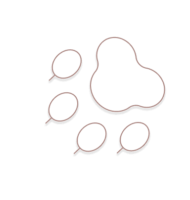 Rien-à-Porter iconic visual